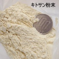 昆虫資材-低分子キトサン粉末｜80メッシュパス【100g】昆虫飼育用添加剤【送料無料】