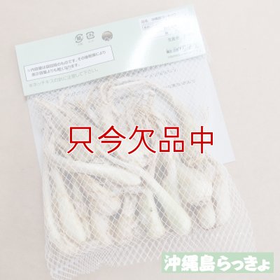 縄 島らっきょ【100g】沖縄健康野菜（栽培用種球