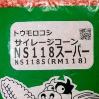 【牧草種子】サイレージコーン｜飼料用トウモロコシ（中早生種）｜NS118スーパー [RM118] 3500粒/約500平方ｍ分｜カネコ種苗製