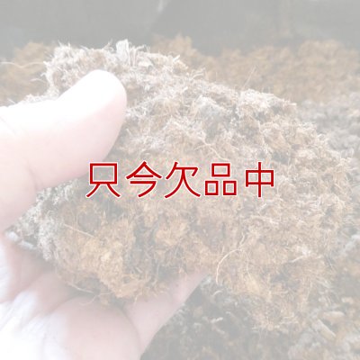 ラトビア産無調整ピートモス（粒度：5-10mm・粗目）