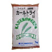 【新発売】【緑肥種子】ライムギ｜カールトライ【1kg】【緑肥用】【低温伸張性】【超極早生種】【防風】【障壁】カネコ種苗製