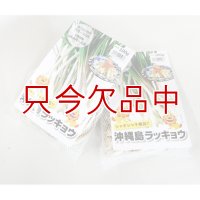 [完売・次期は2025年3月に予約開始します]【沖縄産】沖縄 島らっきょ【100g】沖縄健康野菜（栽培用種球）