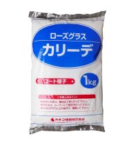 [品薄]暖地型牧草【牧草種子】ローズグラス｜カリーデ【コート種子】4倍体｜晩生種【1kg】カネコ種苗製