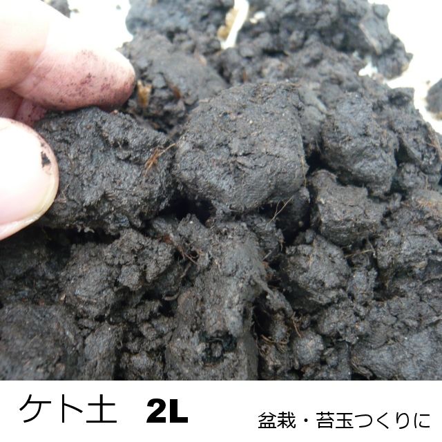 苔玉 石付づくりに ケト土 小袋 約2l 基本用土 園芸用土 たまごや商店