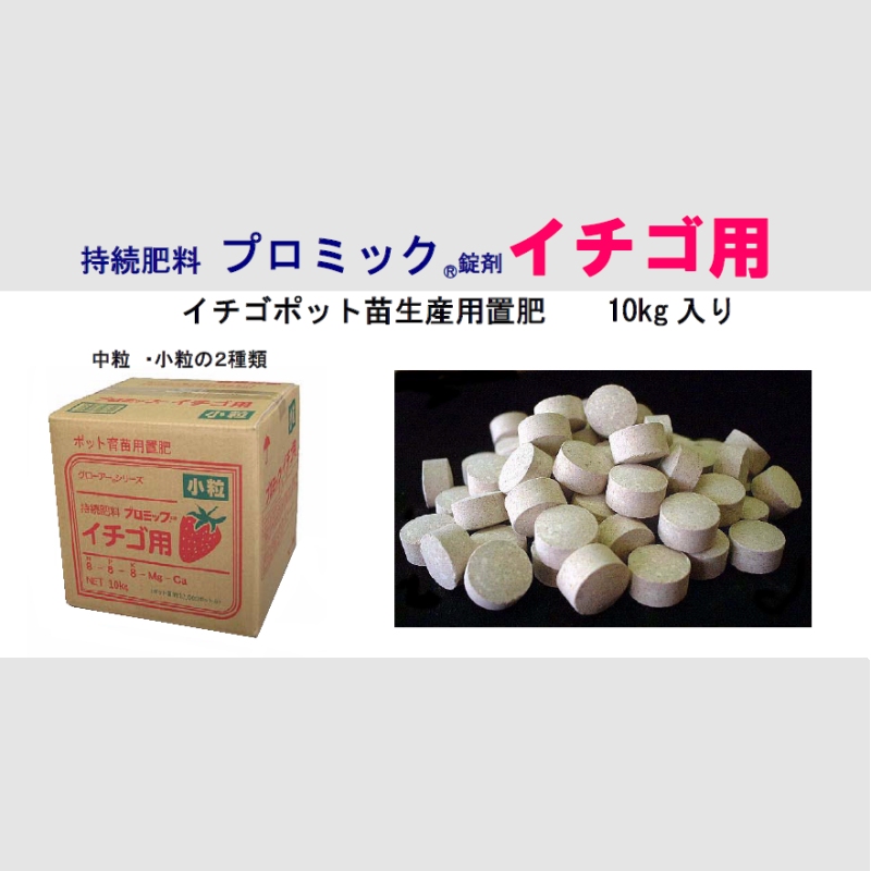 プロミック錠剤イチゴ用 N8 P8 K8 10kg イチゴのポット苗づくりに最適 マグァンプ プロミック 化成肥料 たまごや商店