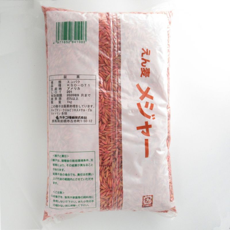 牧草種子 えん麦 メジャー 中早生種 1kg カネコ種苗製 エンバク タネ 飼料 牧草用 たまごや商店