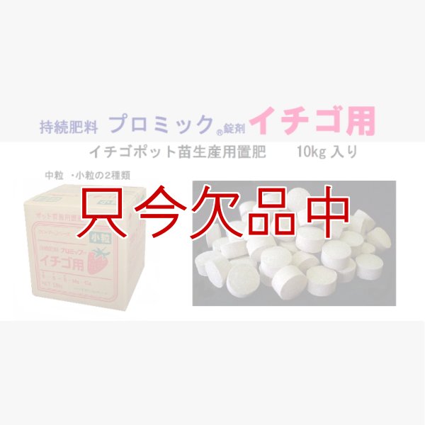 廃番]プロミック錠剤イチゴ用【中粒】（N8-P8-K8）【10kg】イチゴのポット苗づくりに最適｜プロミック・鉢物用置肥類｜化成肥料｜たまごや商店