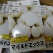 マイルドエックス｜種子用大蒜｜臭いの残らない国産ニンニク