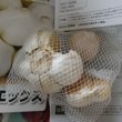 マイルドエックス｜種子用大蒜｜臭いの残らない国産ニンニク