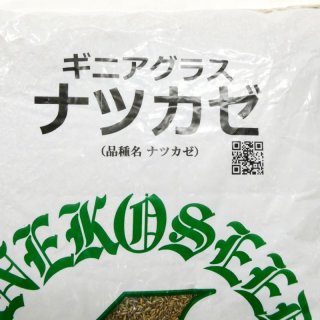 暖地型芝草】センチピードグラス｜Centipede grass【管理が楽々