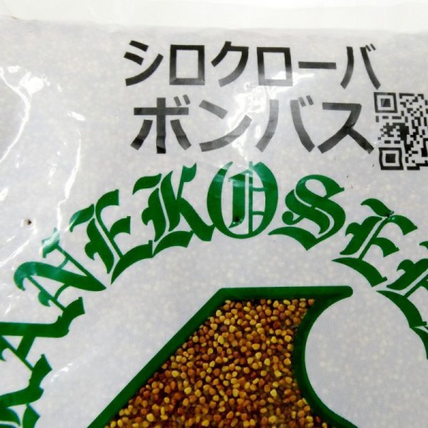 値下げ]【牧草種子】シロクローバ｜ボンバス（大葉種）【500g】マメ科牧草｜カネコ種苗製｜マメ科牧草｜【タネ】飼料・牧草用｜たまごや商店