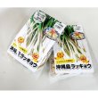 縄 島らっきょ【100g】沖縄健康野菜（栽培用種球