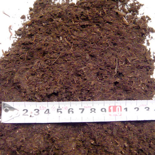 ブルーベリー のピートモス 土を酸性に替える PH酸性・強化 | neumi.it