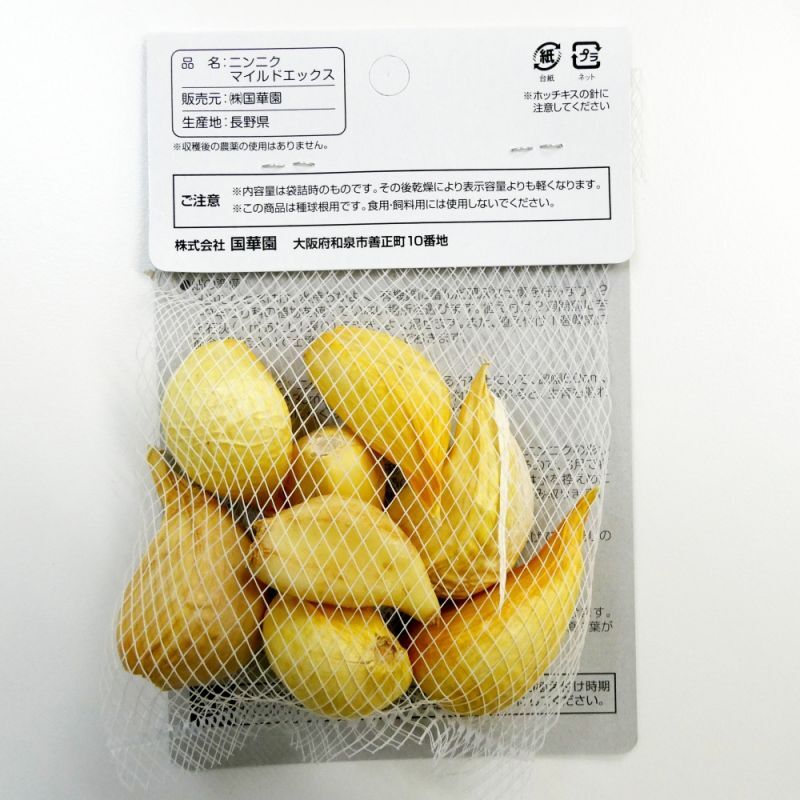 長野県産]マイルドエックス｜種子用大蒜｜臭いの残らない国産ニンニク【100g】｜種ニンニク｜苗・球根・種イモ類｜たまごや商店